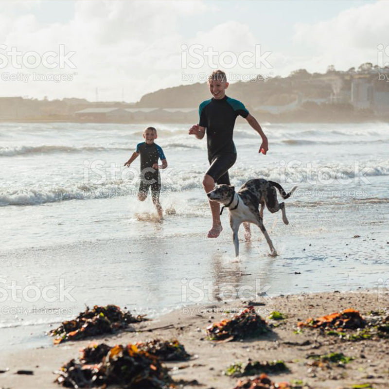 Kelp Dog Treats- Made for Sensitive Stomachs (2-PACK)