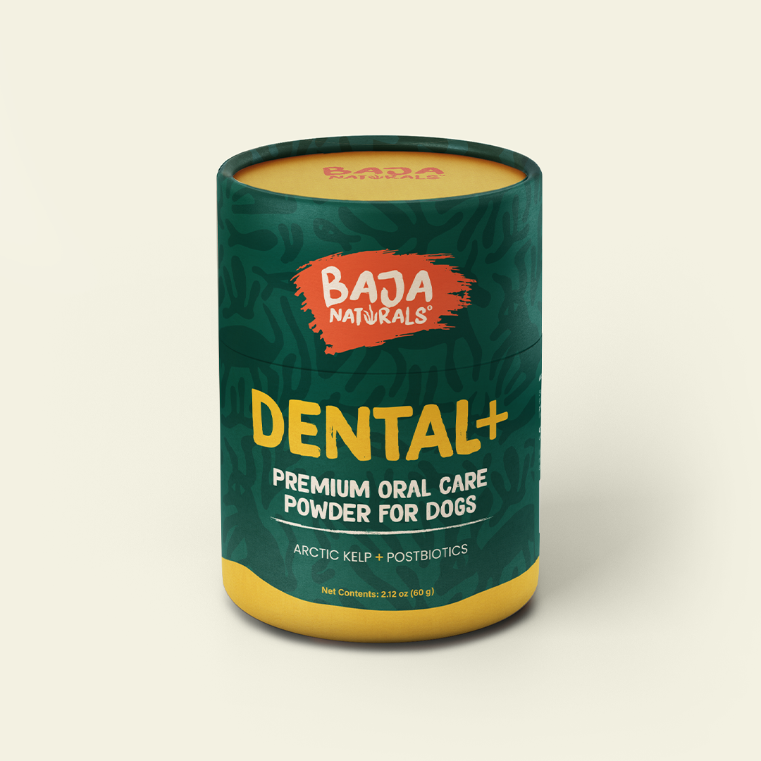 DENTAL+ premium oral care powder for dogs, Arctic kelp + postbiotics, 60 g canister, front