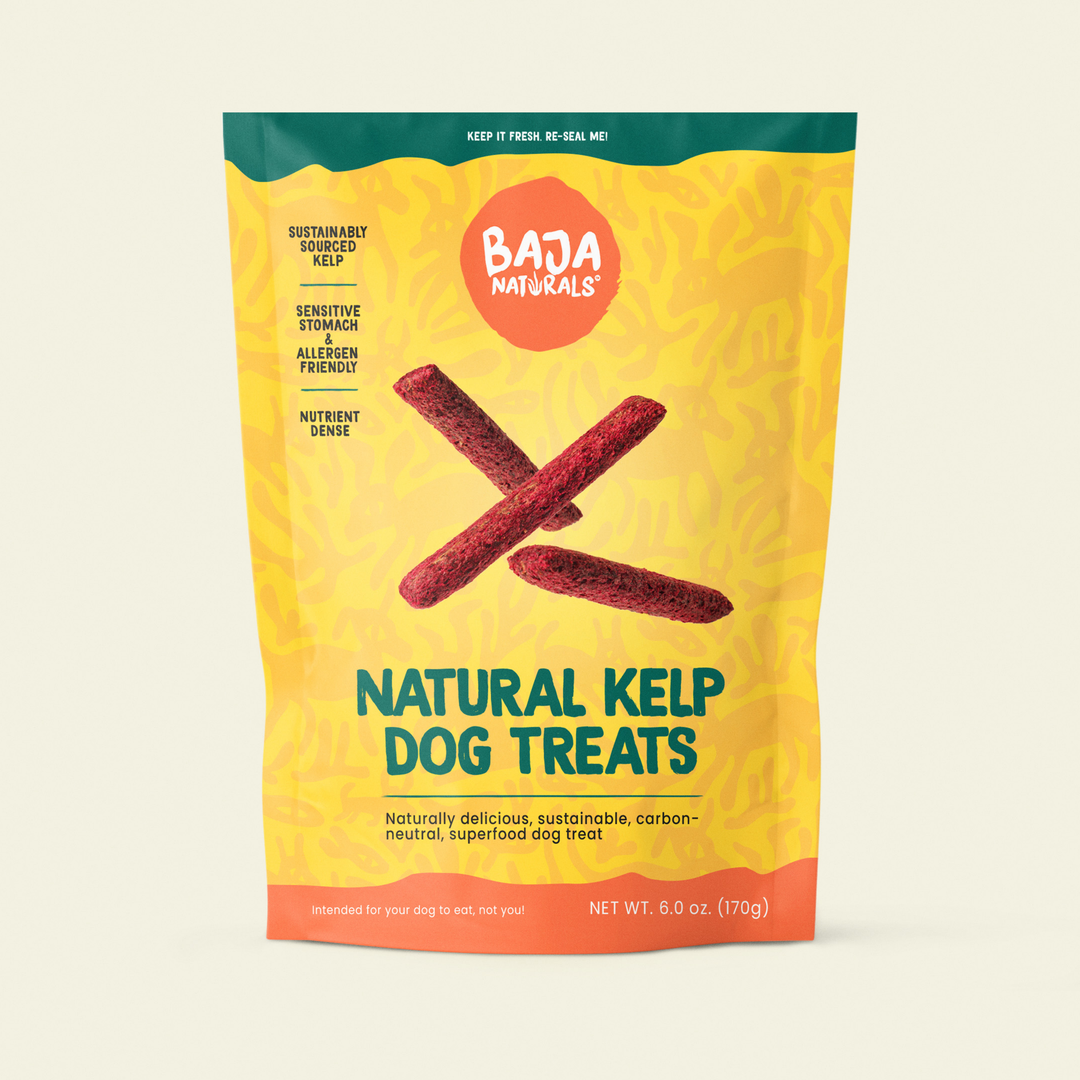 Front of a 6 oz bag of Baja Naturals Natural Kelp Dog Treats