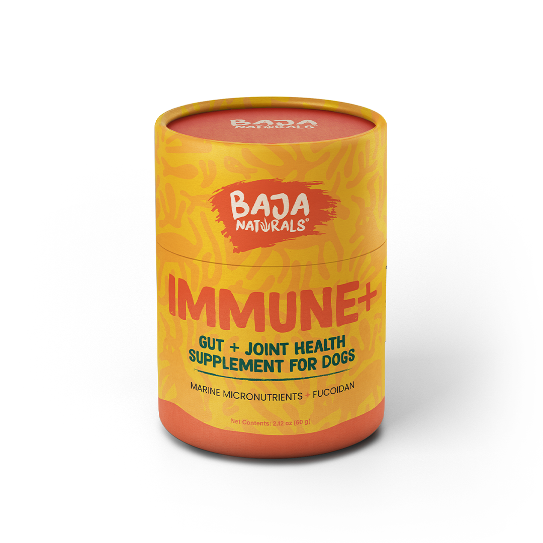 IMMUNE+ canister, part of the Complete Care bundle