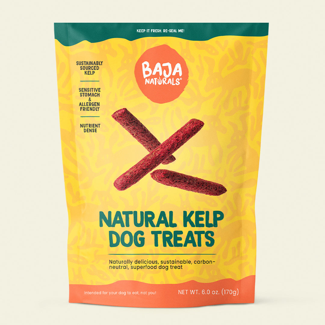 Case - Kelp Dog Treats (40) 6.0 oz.
