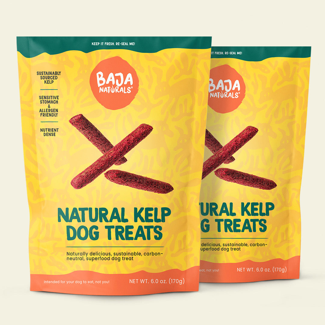 Kelp Dog Treats- Made for Sensitive Stomachs (2-PACK)
