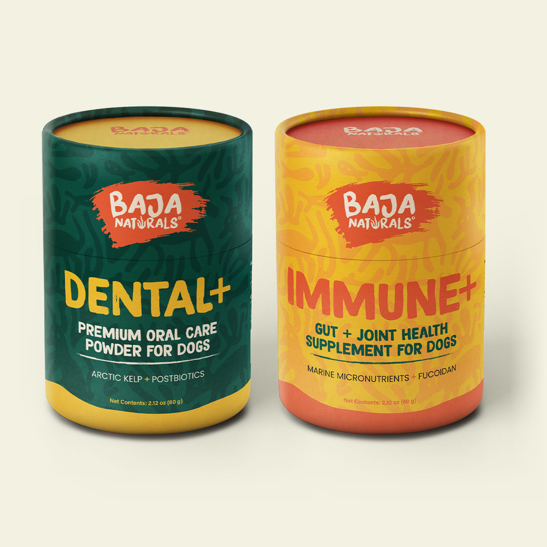 Complete Care bundle: DENTAL+ and IMMUNE+ canisters side by side