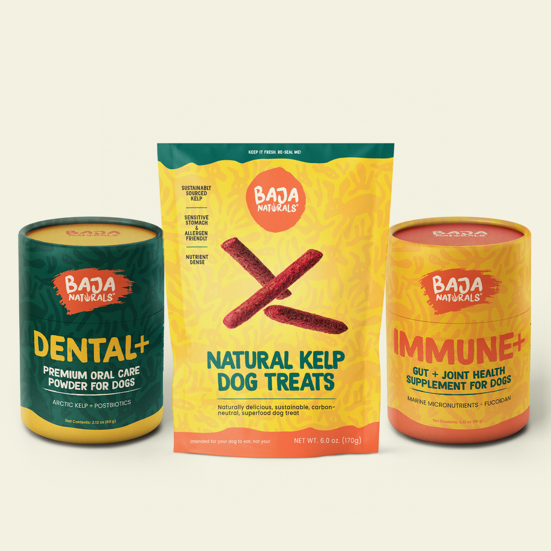 The Complete Kit: a bag of Baja Naturals kelp dog treats between DENTAL+ and IMMUNE+ canisters