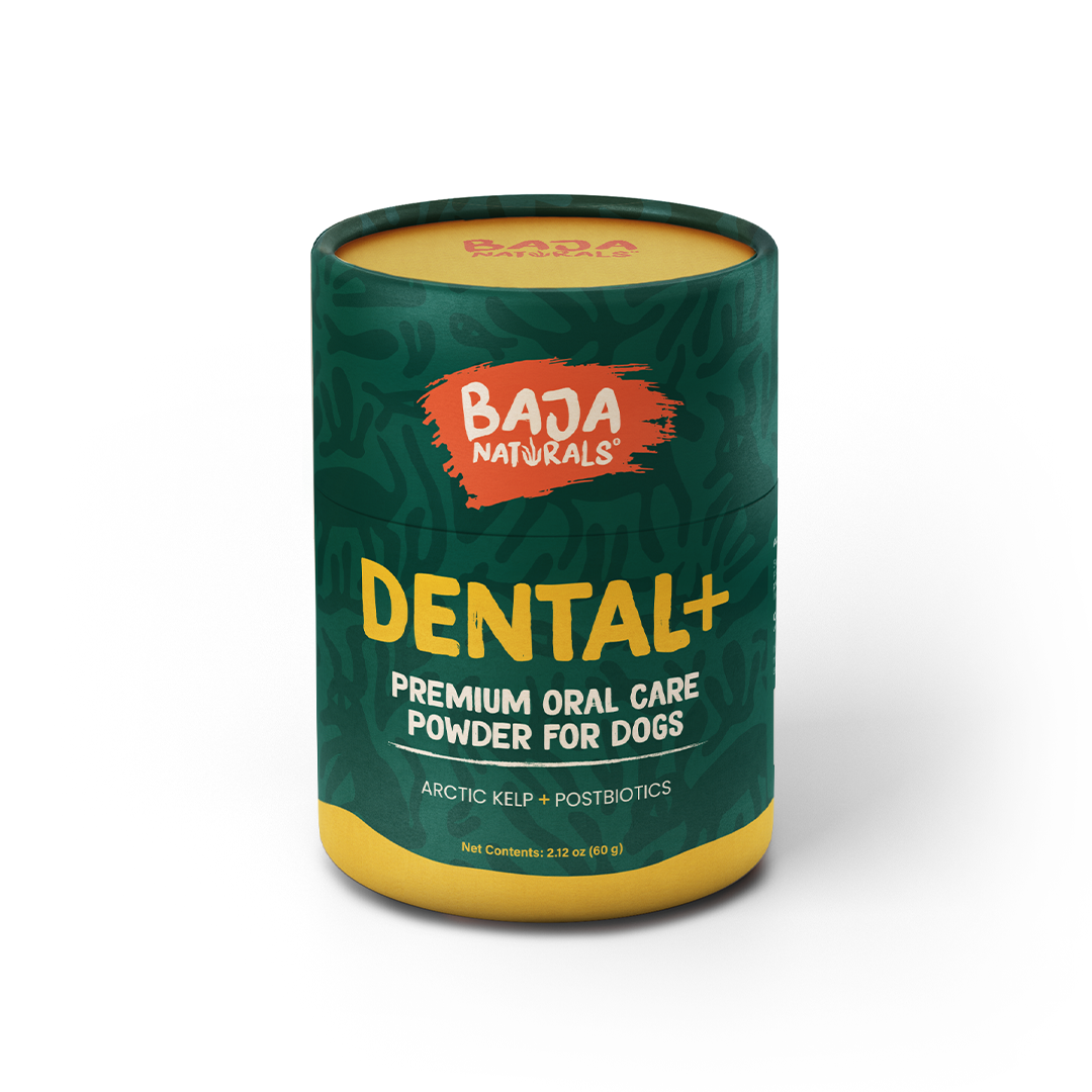 DENTAL+with Arctic Kelp + Postbiotics, 60 g