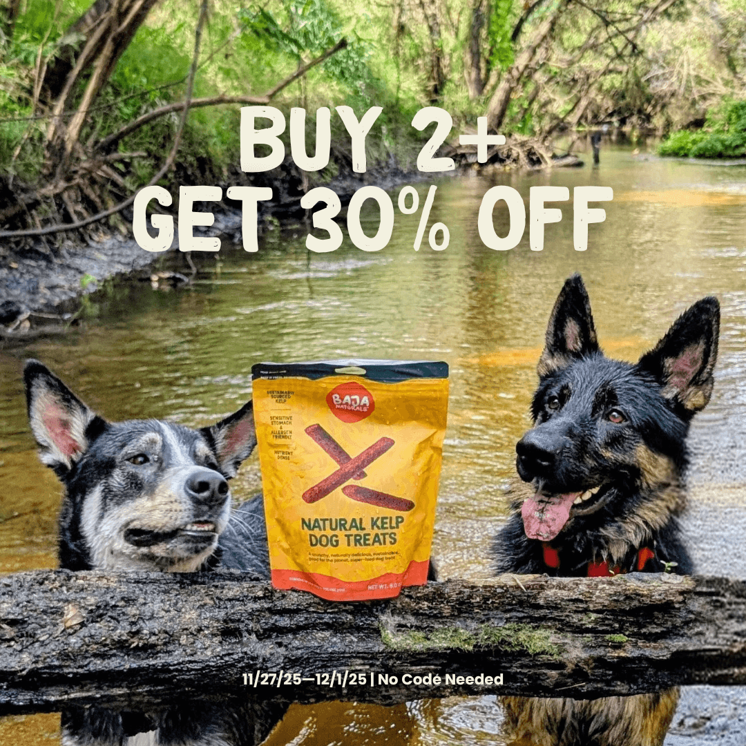 Australian Cattle Dog and German Shepherd beside a yellow and red Baja Naturals Natural Kelp Dog Treats pouch on a dark brown creek log, with green foliage and golden-brown water in the background during a Buy 2+ Get 30% Off promotion.